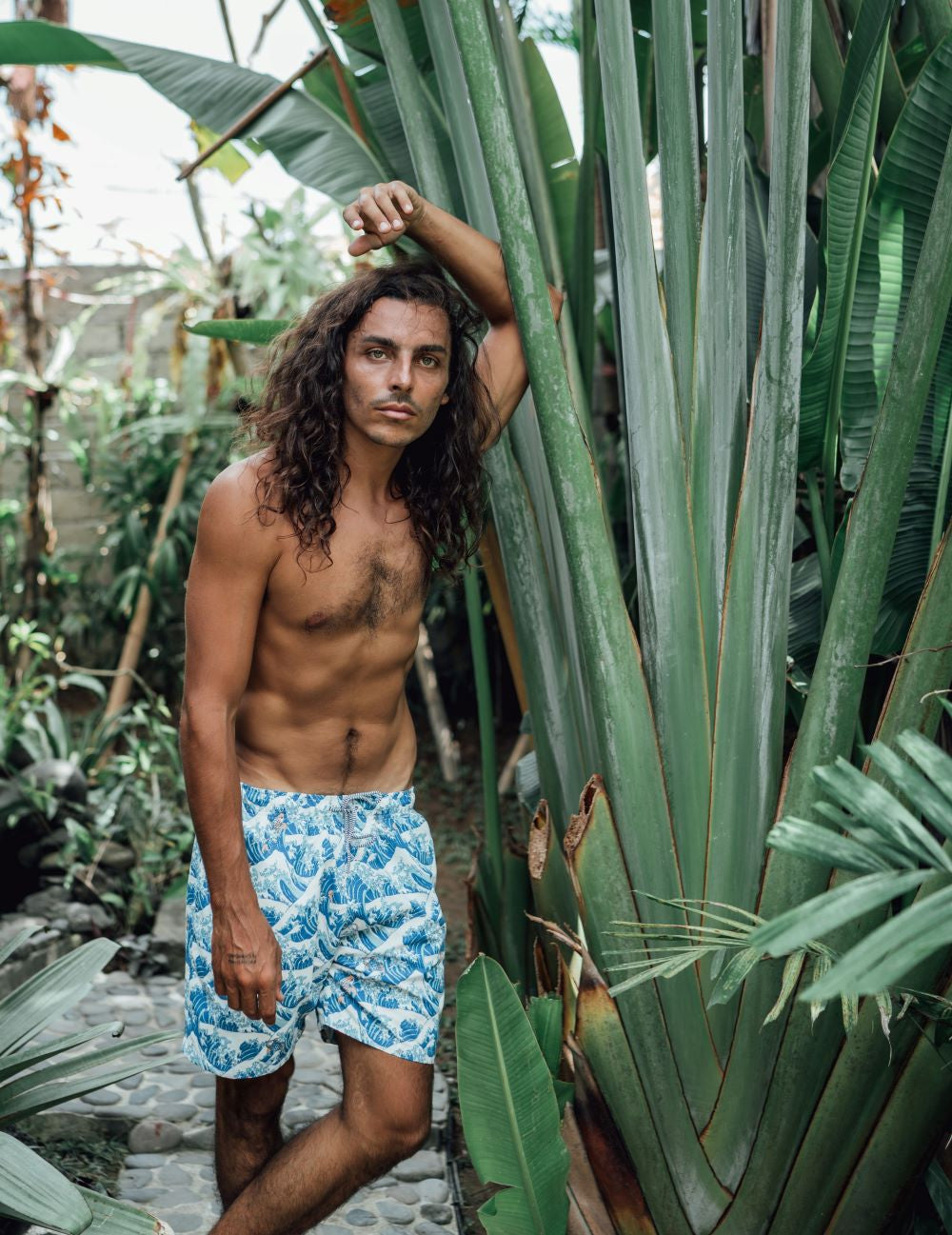 Koi Premium Short