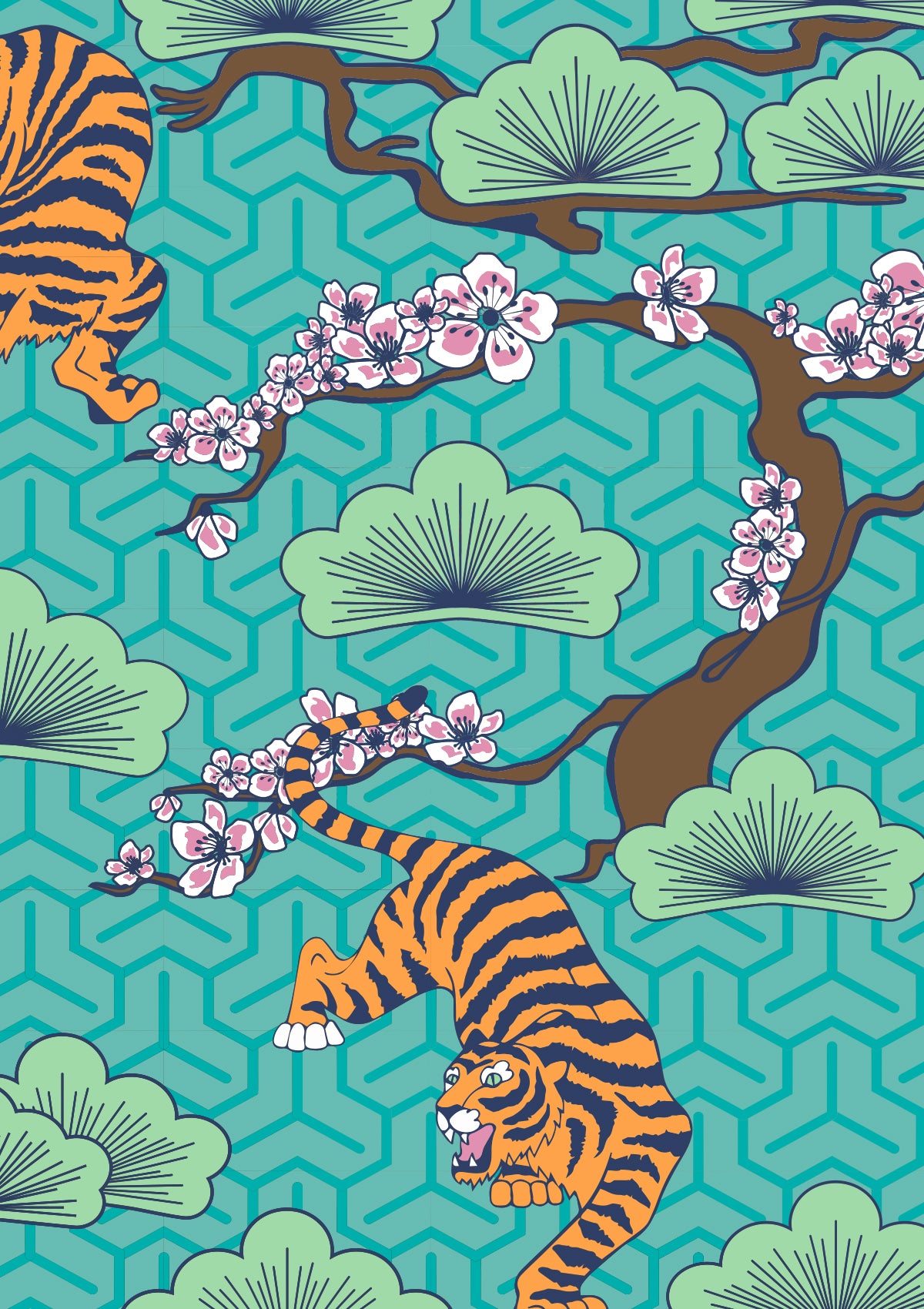 Tora