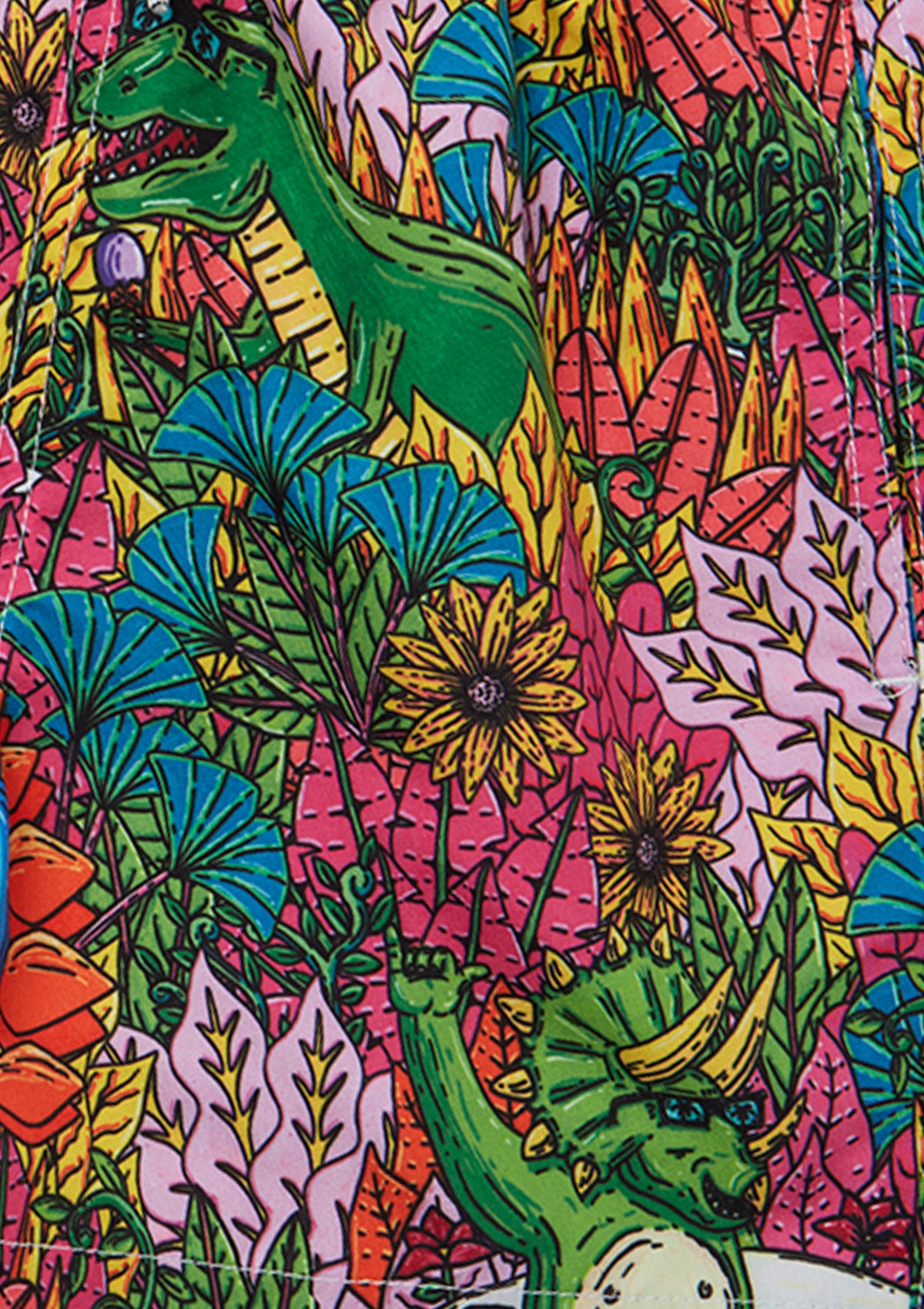 Boardies® Mulga Dinosaur Shorts Print Detail Close Up