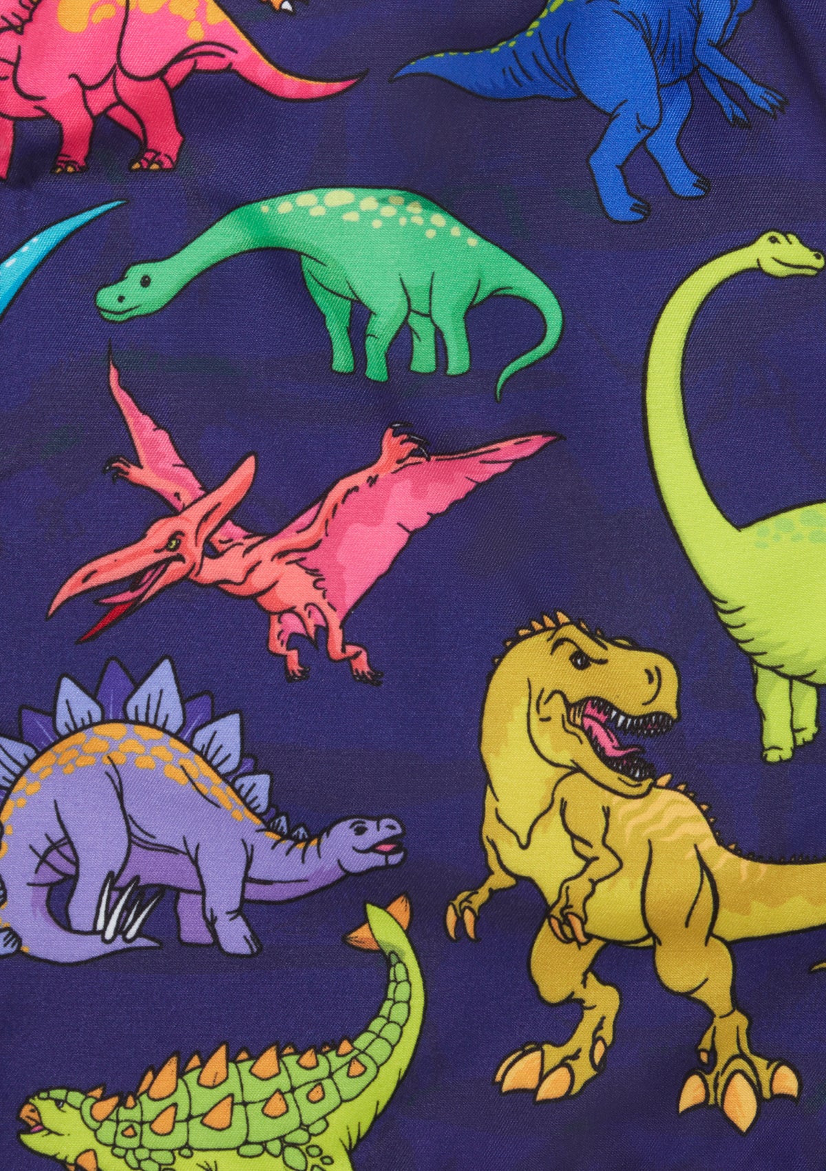 Boardies® Kids Vibrant Dino Swim Shorts