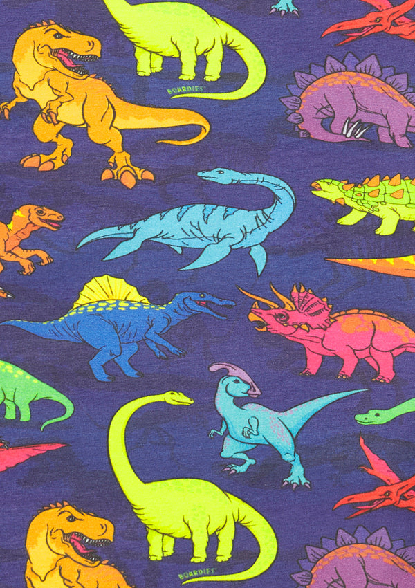 Vibrant Dino Kids Co-ord